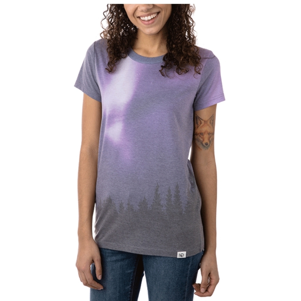 Tentree Aurora Borealis